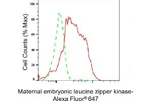 Flow cytometric analysis of Maternal embryonic leucine zipper kinase expression in HepG2 cells using Maternal embryonic leucine zipper kinase antibody (ABIN7799336), 1:2,000). (Rekombinanter MELK Antikörper)