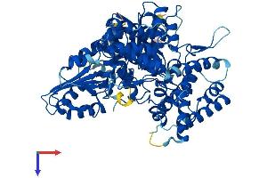 SCFD2 Protein (AA 1-684) (His tag)