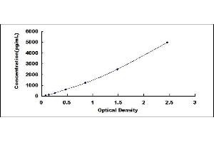 Typical standard curve (SIGLEC10 ELISA Kit)