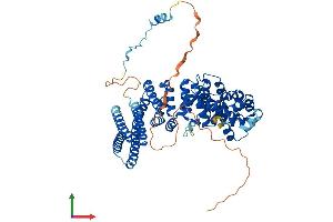 AlphaFold protein structure predicition of Mouse Recombinant Insc Protein, UniprotID Q3HNM7