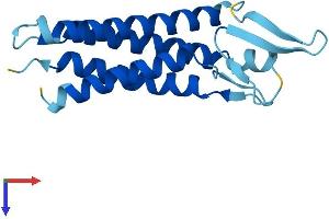 EMP3 Protein (AA 1-163) (His tag)