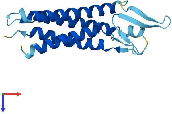 EMP3 Protein (AA 1-163) (His tag)
