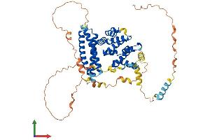 Protein Structure (PS) image for Target of Myb 1 (TOM1) (AA 1-492) protein (His tag) (ABIN7544500)