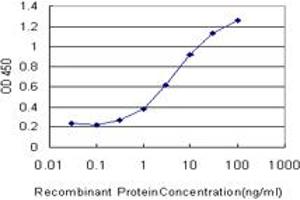Detection limit for recombinant GST tagged CHST3 is approximately 0. (CHST3 Antikörper  (AA 312-411))