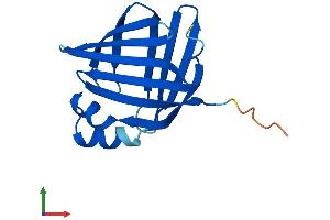 Protein Structure (PS) image for Fatty Acid Binding Protein 12 (FABP12) (AA 1-140) protein (His tag) (ABIN7547601)