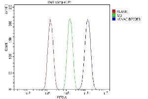 Flow Cytometry analysis of A549 cells using anti-NOVA2 antibody (ABIN7599078).