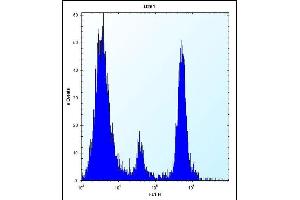 POMT1 Antibody (C-term) (ABIN656314 and ABIN2845617) flow cytometric analysis of  cells (right histogram) compared to a negative control cell (left histogram).