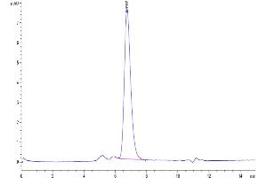 Size-exclusion chromatography-High Pressure Liquid Chromatography (SEC-HPLC) image for Epidermal Growth Factor Receptor (EGFR) (AA 25-645) protein (His-Avi Tag,Biotin) (ABIN7274527)
