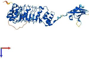 TBCEL Protein (AA 1-424) (His tag)