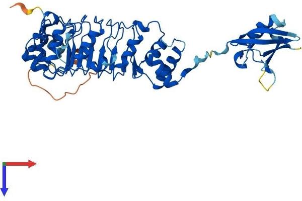 TBCEL Protein (AA 1-424) (His tag)