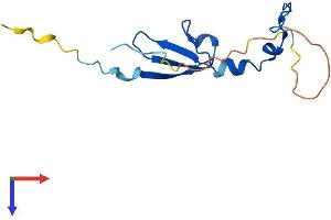 eIF4EBP2 Protein (AA 1-120) (His tag)