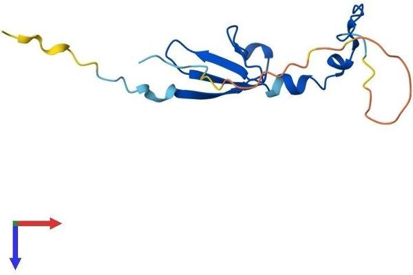 eIF4EBP2 Protein (AA 1-120) (His tag)