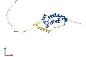 Protein Structure (PS) image for Regulator of G-Protein Signalling 19 (RGS19) (AA 1-217) protein (His tag) (ABIN7551285)