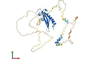 Protein Structure (PS) image for HCLS1 Binding Protein 3 (HS1BP3) (AA 1-395) protein (His tag) (ABIN7557053)