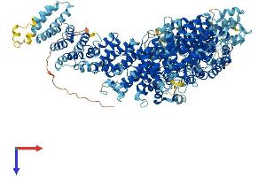 MED23 Protein (AA 1-1368) (His tag)