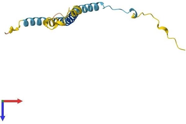 KCNE1 Protein (AA 1-129) (His tag)