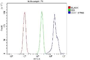 Flow Cytometry analysis of A431 cells using anti-DDR1 antibody (ABIN7601407). (DDR1 Antikörper  (AA 341-909))