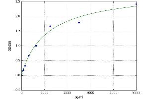 A typical standard curve