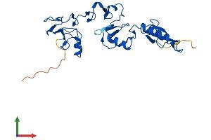 Protein Structure (PS) image for Ring Finger and CHY Zinc Finger Domain Containing 1, E3 Ubiquitin Protein Ligase (RCHY1) (AA 1-261) protein (His tag) (ABIN7545320)