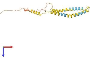 OCIAD2 Protein (AA 1-154) (His tag)