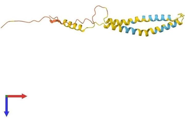 OCIAD2 Protein (AA 1-154) (His tag)