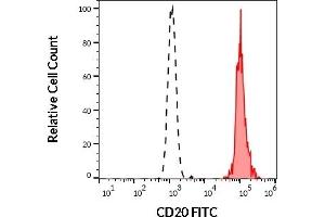 Separation of human CD20 positive lymphocytes (red-filled) from neutrophil granulocytes (black-dashed) in flow cytometry analysis (surface staining) of human peripheral whole blood stained using anti-human CD20 (2H7) FITC antibody (20 μL reagent / 100 μL of peripheral whole blood). (CD20 Antikörper  (FITC))