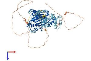 DDX50 Protein (AA 1-734) (His tag)