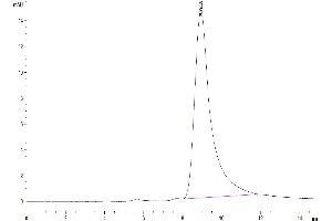 The purity of Mouse GAL1 is greater than 95 % as determined by SEC-HPLC. (LGALS1/Galectin 1 Protein (AA 2-135) (Fc Tag))