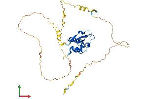 Protein Structure (PS) image for Interferon Regulatory Factor 1 (IRF1) (AA 1-325) protein (His tag) (ABIN7554193)
