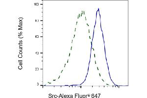 Validation of Src knockdown using flow cytometry.