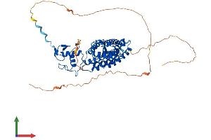 Protein Structure (PS) image for Retinoic Acid Receptor, beta (RARB) (AA 1-482) protein (His tag) (ABIN7562970)
