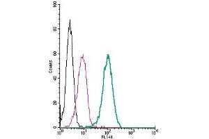 Cell surface detection of LPAR2 (EDG4) by indirect flow cytometry in live intact human THP-1 monocytic leukemia cells: (black line) Cells. (EDG4 Antikörper  (Extracellular, N-Term))