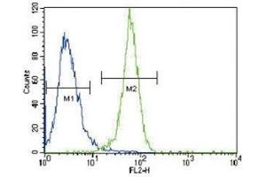 Flow Cytometry (FACS) image for anti-Phosphoglycerate Kinase 1 (PGK1) (AA 117-145) antibody (ABIN3032224)
