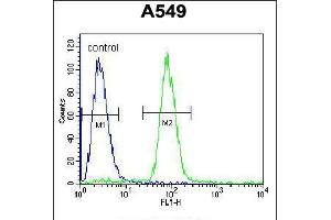 Flow cytometric analysis of A549 cells (right histogram) compared to a negative control cell (left histogram). (SOX3 Antikörper  (AA 189-218))