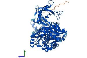 Protein Structure (PS) image for Phosphoglucomutase 2 (PGM2) (AA 1-620) protein (His tag) (ABIN7558298)