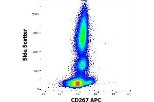 Flow cytometry surface staining pattern of human peripheral whole blood stained using anti-human CD267 (1A1) APC antibody (10 μL reagent / 100 μL of peripheral whole blood).