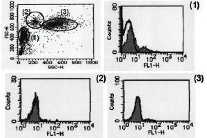 Flow Cytometry (FACS) image for anti-CD274 (PD-L1) antibody (ABIN1449173) (PD-L1 Antikörper)