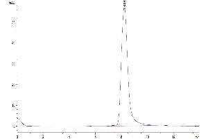 The purity of Human Factor H is greater than 95 % as determined by SEC-HPLC.