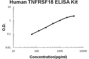 Human TNFRSF18/GITR Accusignal ELISA Kit Human TNFRSF18/GITR AccuSignal ELISA Kit standard curve. (TNFRSF18 ELISA Kit)