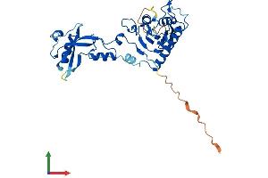 Protein Structure (PS) image for Adenosine Deaminase, tRNA-Specific 3 (ADAT3) (AA 1-349) protein (His tag) (ABIN7558031)