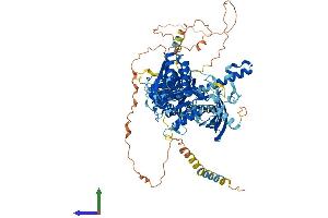 Protein Structure (PS) image for Chondroitin Sulfate Synthase 3 (CHSY3) (AA 1-882) protein (His tag) (ABIN7553372)