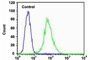 Flow cytometric analysis of HUVEC cells (green histogram) and an isotype control of mouse IgG2a (blue histogram) reacted with FLT4 monoclonal antibody  at 1:25 dilution.