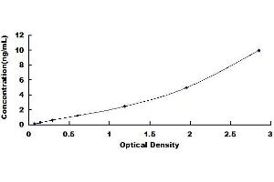 Typical standard curve (MECP2 ELISA Kit)