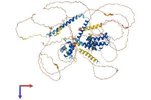 BRD8 Protein (AA 1-951) (His tag)