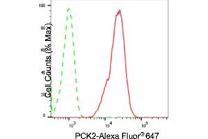 Flow cytometric analysis of PCK2 expression in C2C12 cells using PCK2 antibody (ABIN7799800), 1:2,000).