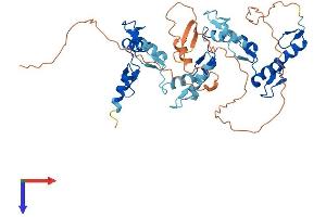 ZNF134 Protein (AA 1-427) (His tag)
