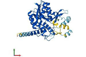 Protein Structure (PS) image for Hydroxysteroid (17-Beta) Dehydrogenase 7 (HSD17B7) (AA 1-341) protein (His tag) (ABIN7547087)