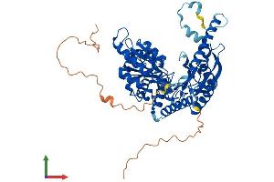 Protein Structure (PS) image for Serine Palmitoyltransferase, Long Chain Base Subunit 3 (SPTLC3) (AA 1-563) protein (His tag) (ABIN7558527)