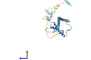 Protein Structure (PS) image for EBNA1 Binding Protein 2 (EBNA1BP2) (AA 1-306) protein (His tag) (ABIN7561150)