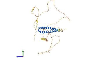 Protein Structure (PS) image for Periphilin 1 (PPHLN1) (AA 1-381) protein (His tag) (ABIN7559504)